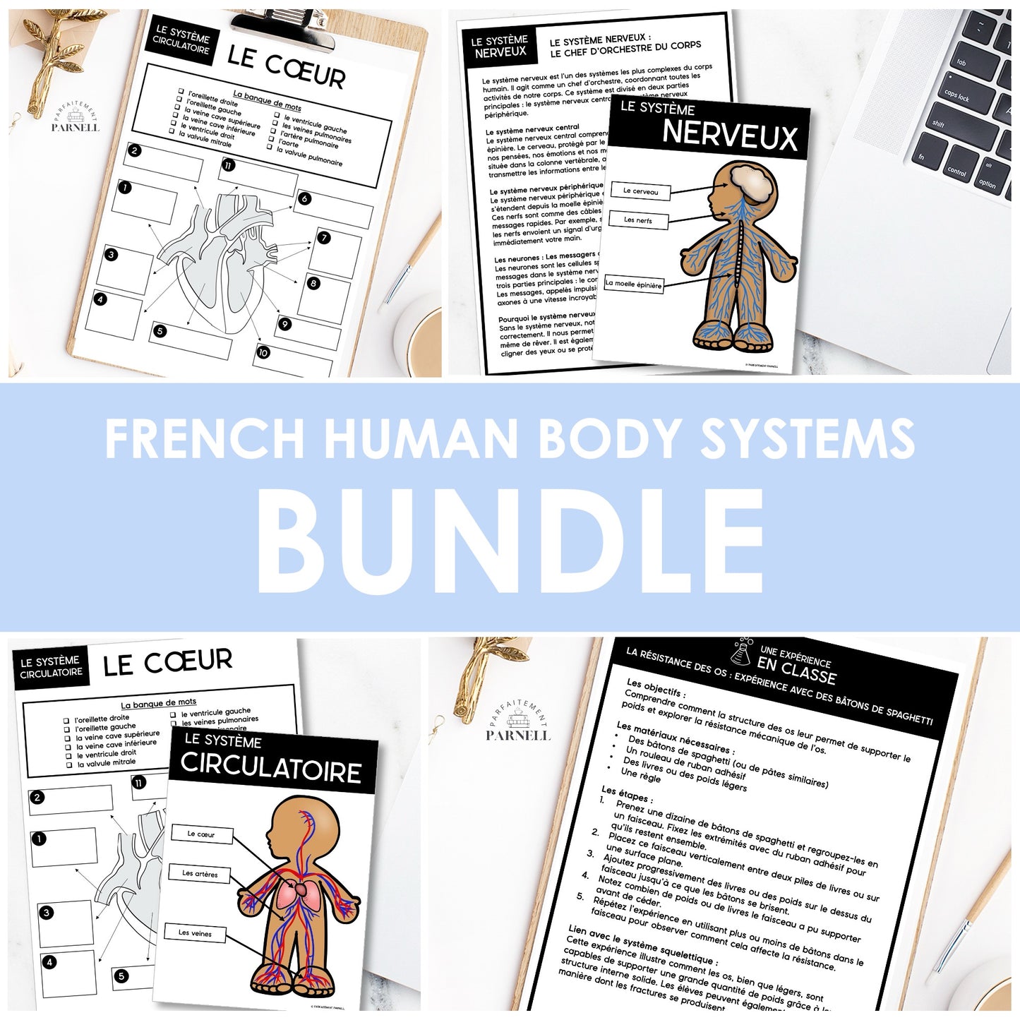 Les systèmes du corps humain | French Human Body Resource Bundle