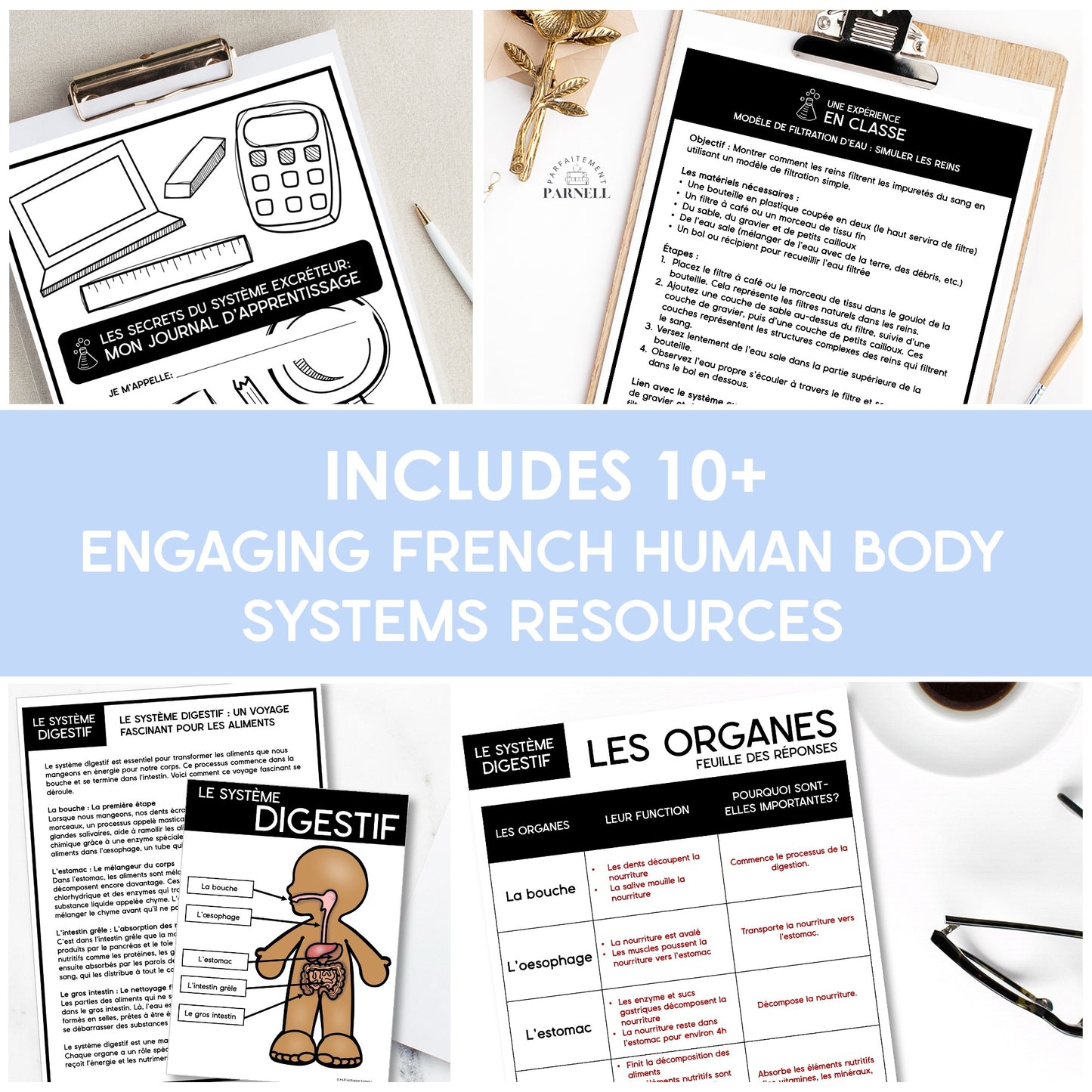 Les systèmes du corps humain | French Human Body Resource Bundle