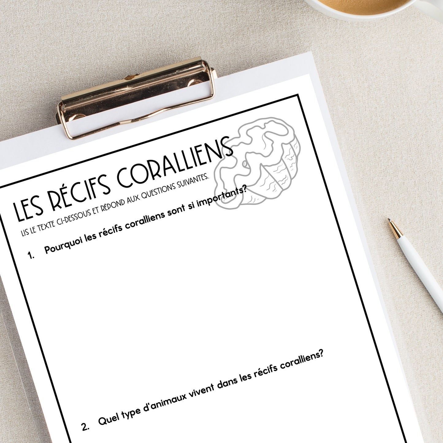French Reading Comprehension Bundle