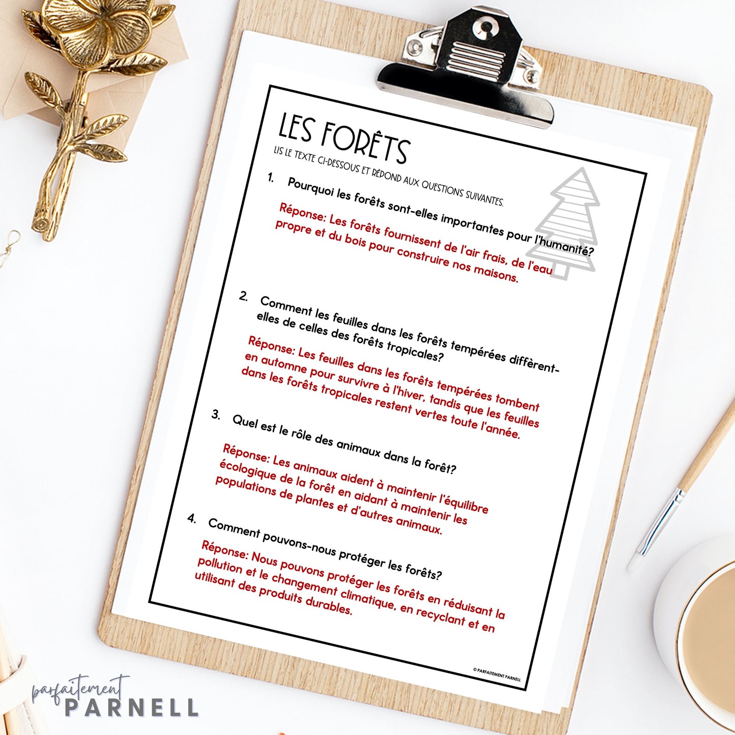 French Nature Reading Comprehension Activity | la nature