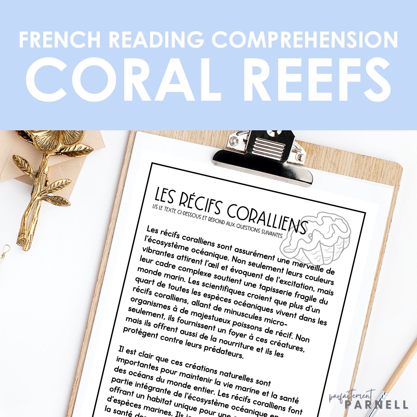 French Coral Reef Reading Comprehension Activity | les récifs coralliens