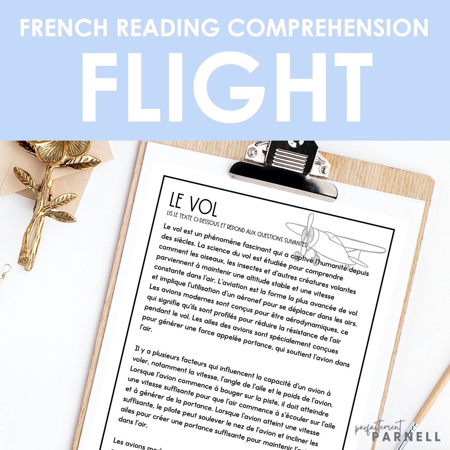 French Reading Comprehension Activity | le vol