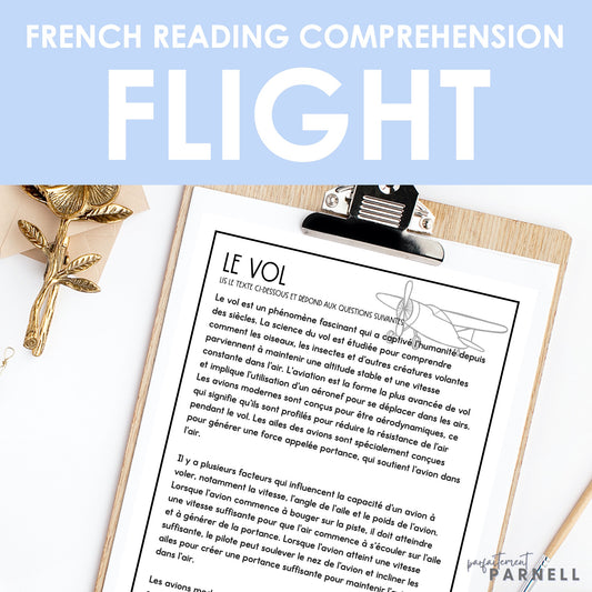 French Reading Comprehension Activity | le vol