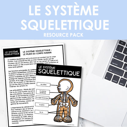 Les systèmes du corps humain | French Human Body - Le système squelettique