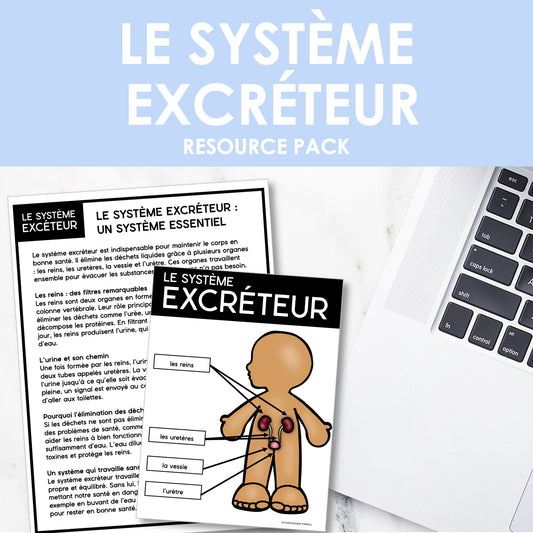 Les systèmes du corps humain | French Human Body - Le système excréteur