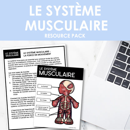 Les systèmes du corps humain | French Human Body - Le système musculaire