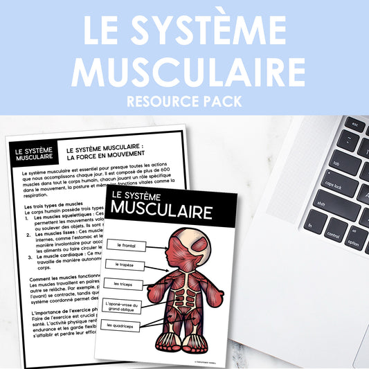 Les systèmes du corps humain | French Human Body - Le système musculaire