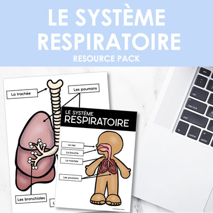Les systèmes du corps humain | French Human Body - Le système respiratoire