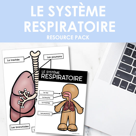 Les systèmes du corps humain | French Human Body - Le système respiratoire