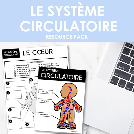 Les systèmes du corps humain | French Human Body - Le système circulatoire