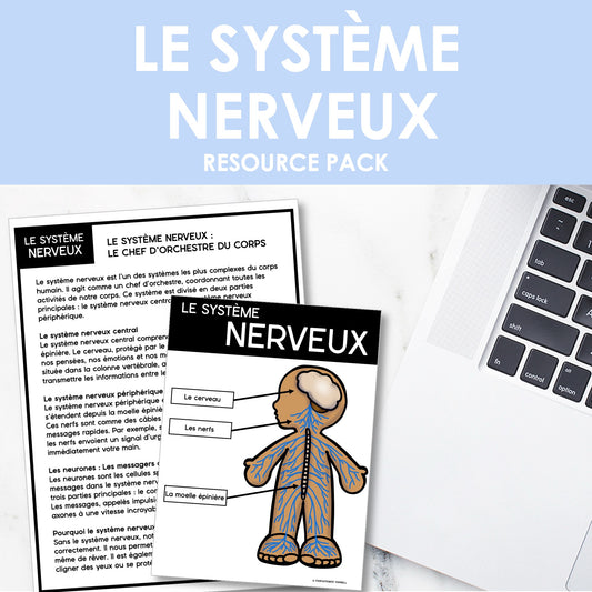 Les systèmes du corps humain | French Human Body - Le système nerveux