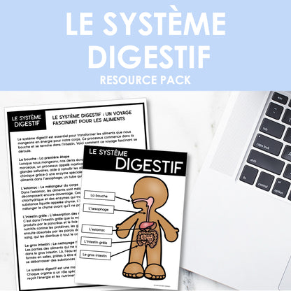 Les systèmes du corps humain | French Human Body - Le système digestif