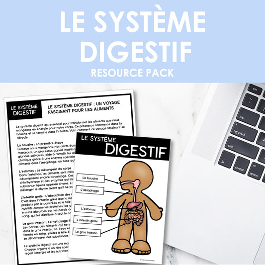 Les systèmes du corps humain | French Human Body - Le système digestif
