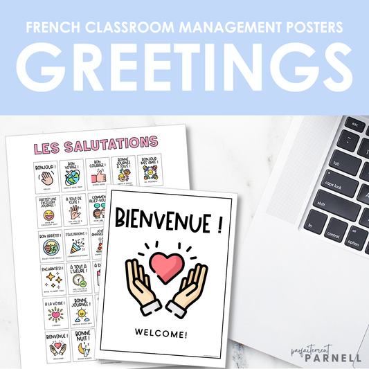 French Classroom Management | French Greetings Posters