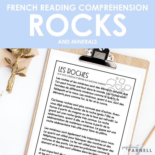 French Reading Comprehension Activity | les roches et les minéraux