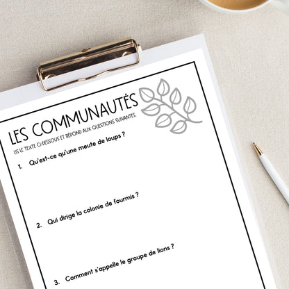 French Reading Comprehension Activity | les habitats et les communautés