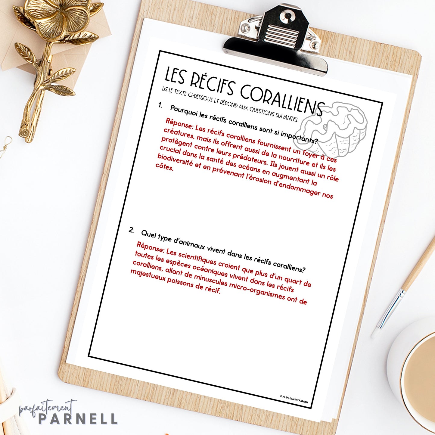 French Coral Reef Reading Comprehension Activity | les récifs coralliens