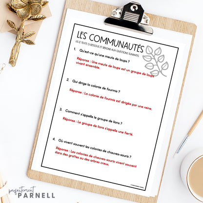 French Reading Comprehension Activity | les habitats et les communautés