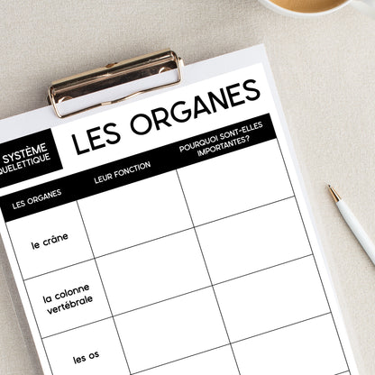 Les systèmes du corps humain | French Human Body - Le système squelettique