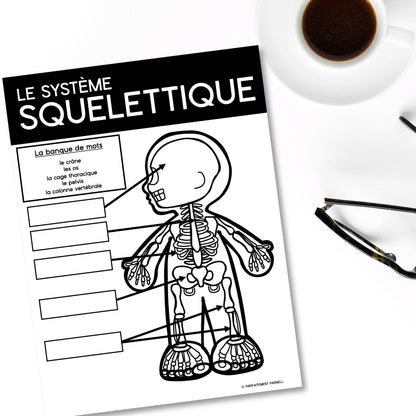Les systèmes du corps humain | French Human Body - Le système squelettique