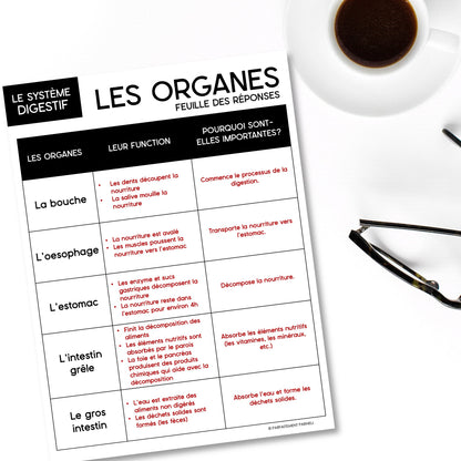 Les systèmes du corps humain | French Human Body - Le système digestif