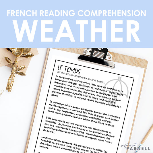 French Weather Reading Comprehension Activity | le temps