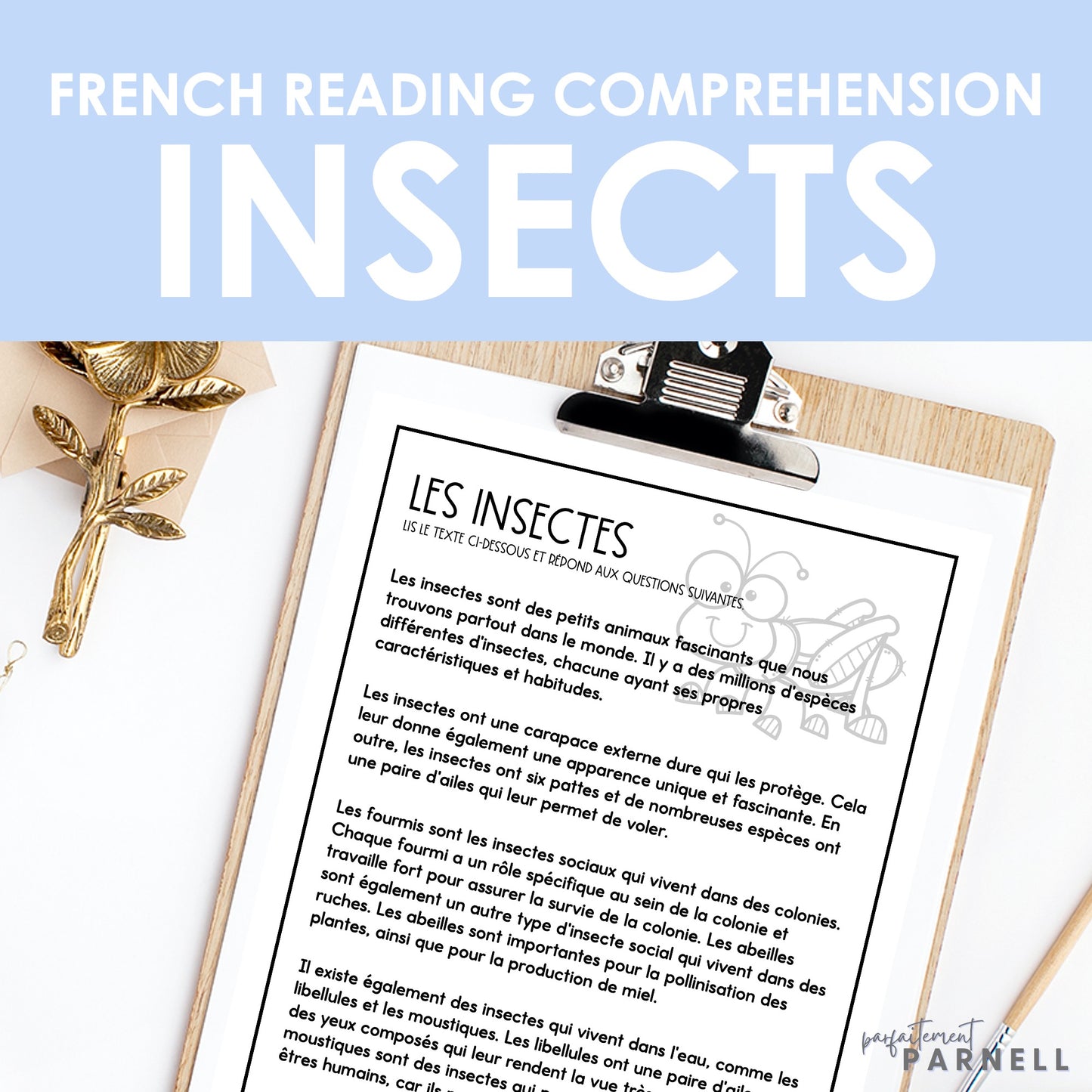 French Insect Reading Comprehension Activity | les insectes