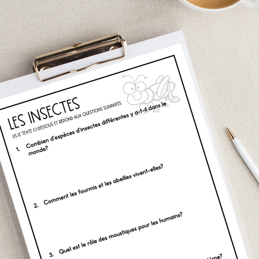 French Insect Reading Comprehension Activity | les insectes
