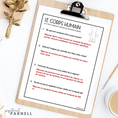 French Human Body Reading Comprehension Activity | le corps humain