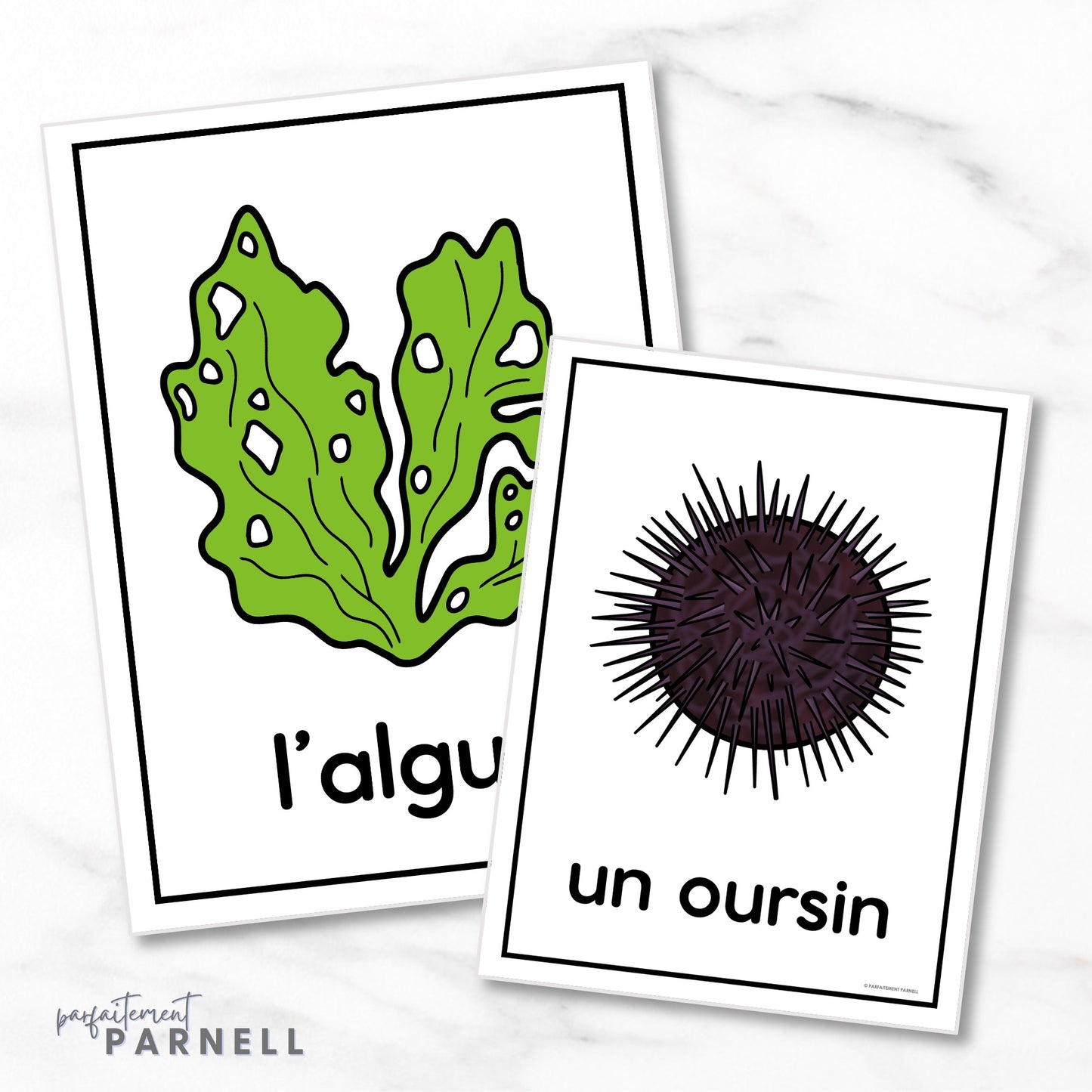 French Ocean Posters | l'océan