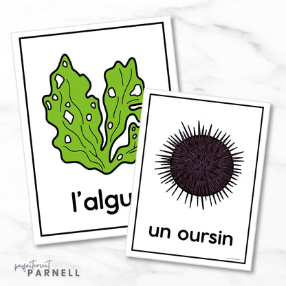 French Ocean Posters | l'océan