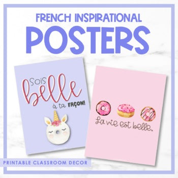 French Growth Mindset & Inspirational Posters - Volume 1