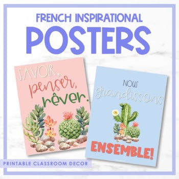 French Growth Mindset & Inspirational Posters - Volume 4