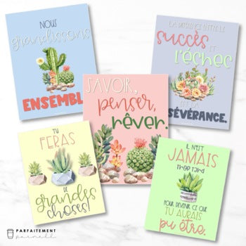 French Growth Mindset & Inspirational Posters - Volume 4