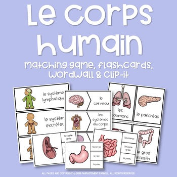 Le corps humain - French Human Body Games & Activities