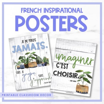 French Growth Mindset & Inspirational Posters - Volume 5