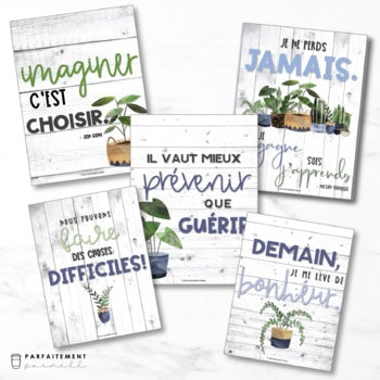 French Growth Mindset & Inspirational Posters - Volume 5