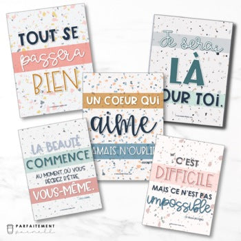 French Growth Mindset & Inspirational Posters - Volume 8