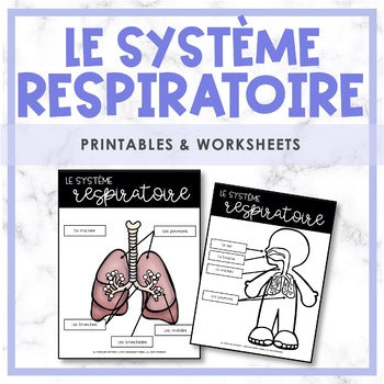 Les systèmes du corps humain | French Human Body - Le système respiratoire