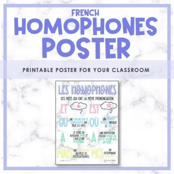 Les homophones | French Homophones Poster
