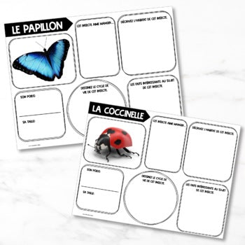 French Insect Research Project | Printable & Digital | Distance Learning